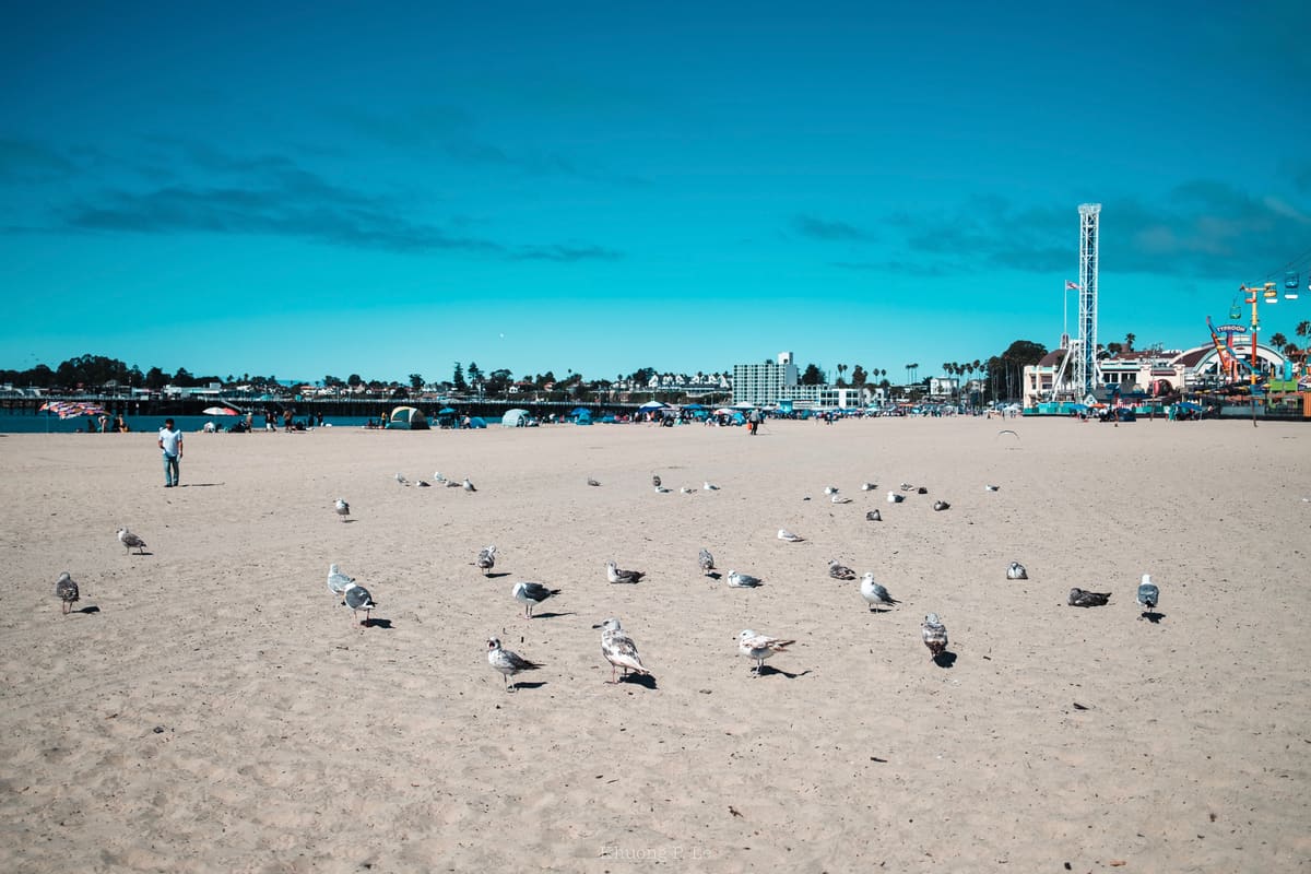WestCoast-72.jpg