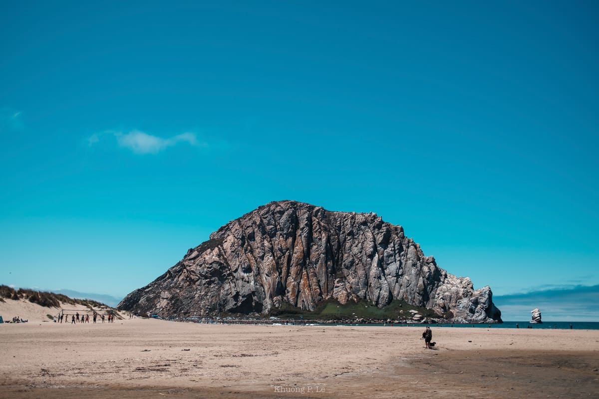 WestCoast-44.jpg
