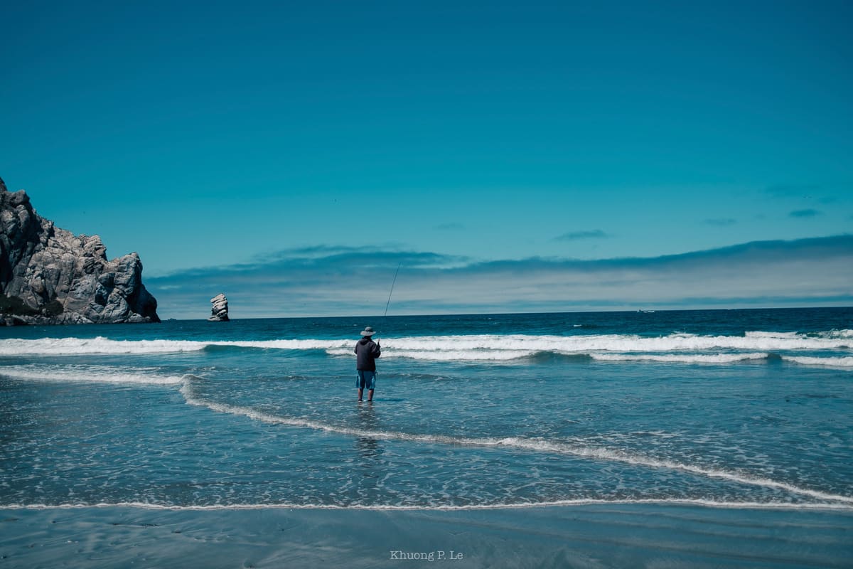 WestCoast-45.jpg