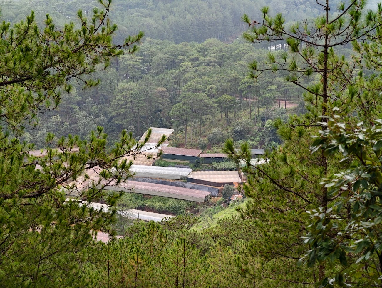 da-lat-14.JPG