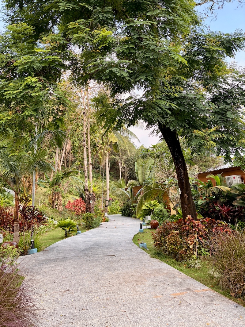 đường trong resort.jpg