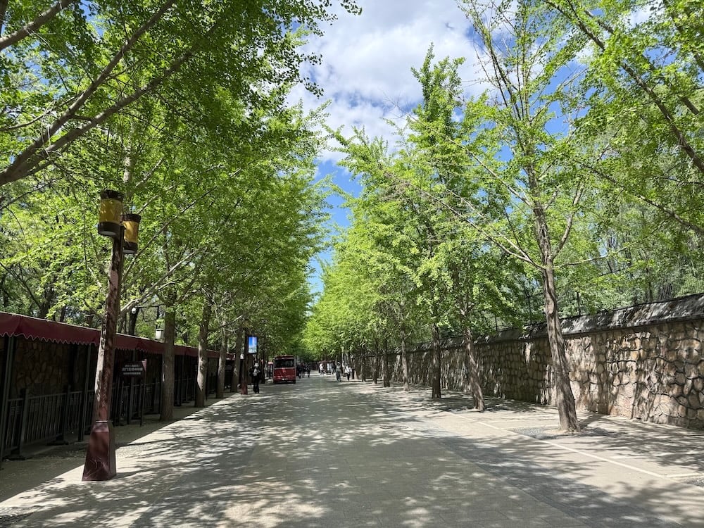 vien-minh-vien-23.JPG