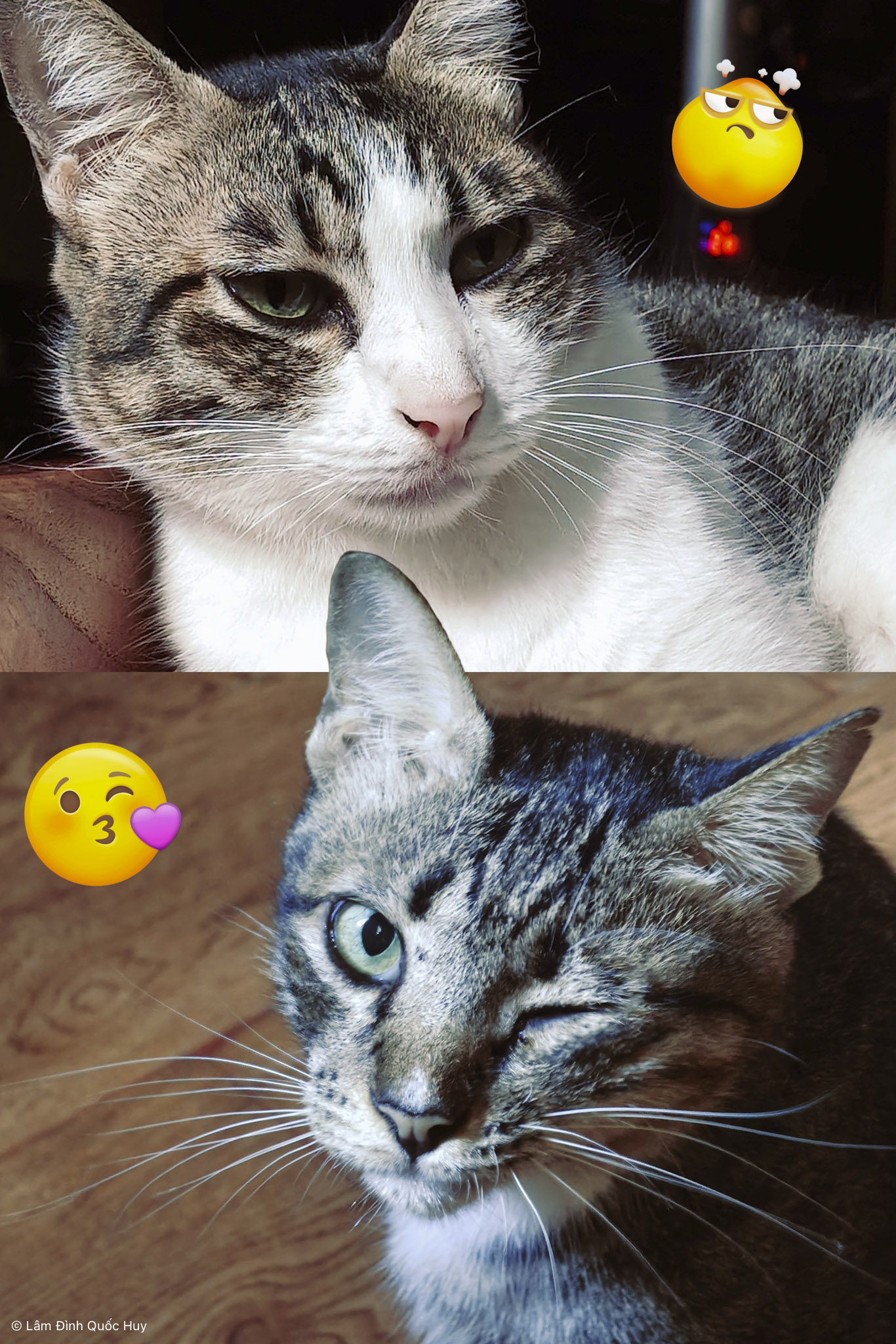 OPPO Reno16 F 5G anh test camera-02.jpg
