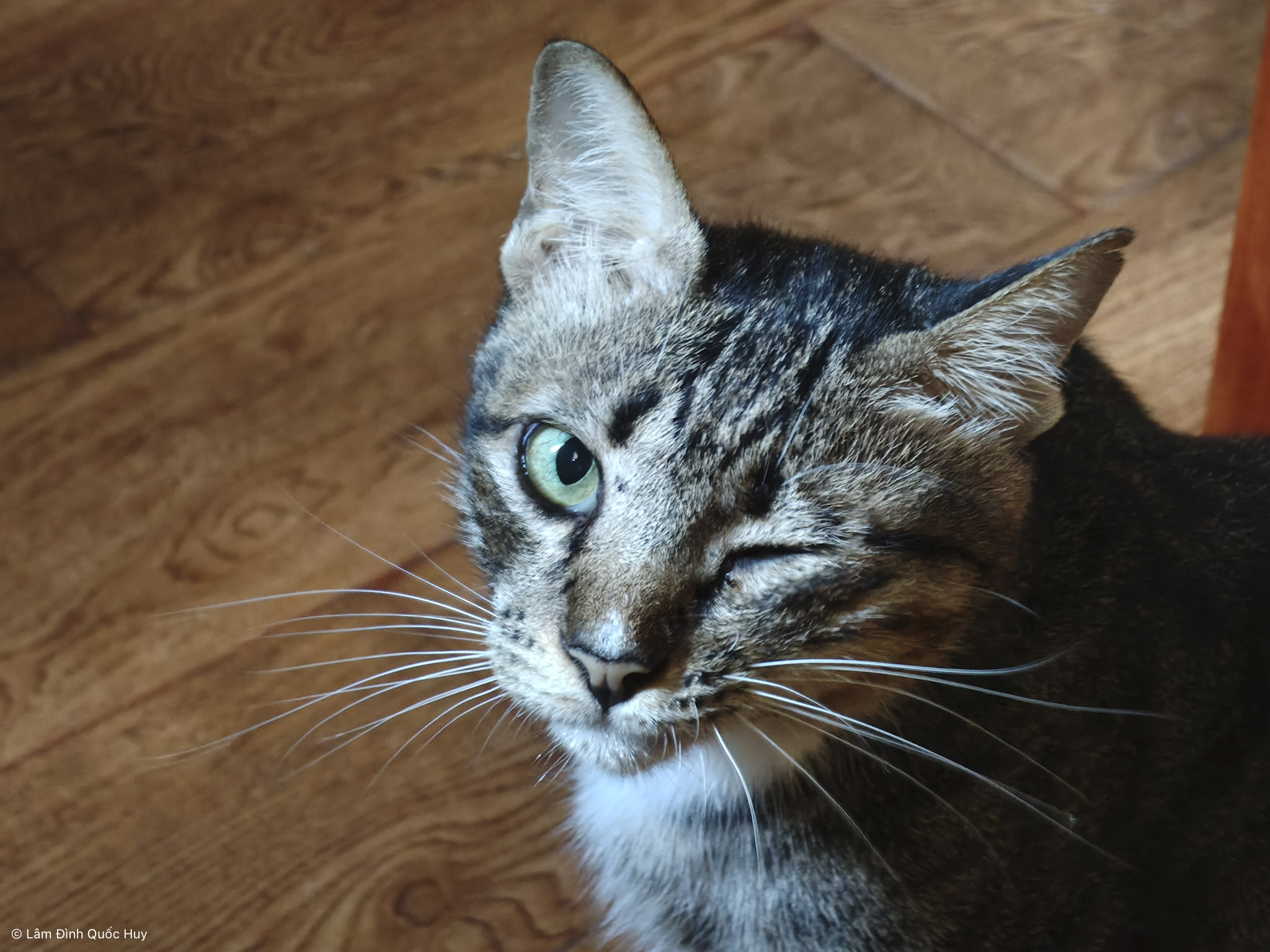 OPPO Reno16 F 5G anh test camera-04.jpg