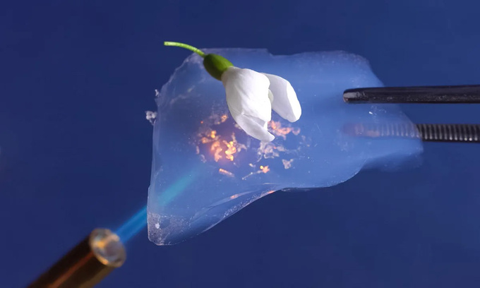 Aerogel rất nhẹ và cách nhiệt tốt, có thể bảo vệ bông hoa khỏi sức nóng của đèn khò. Ảnh: LuYago